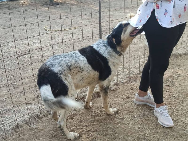 Steven met een groot liefdevol hart 