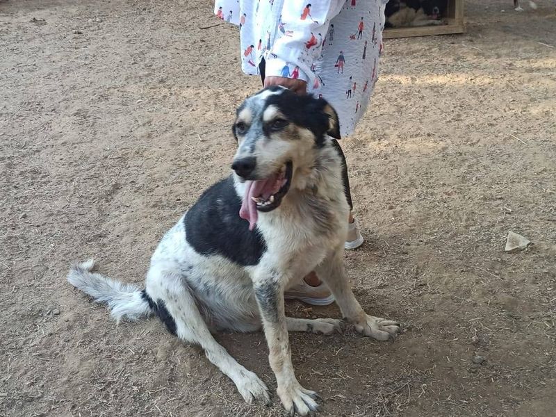 Steven met een groot liefdevol hart 