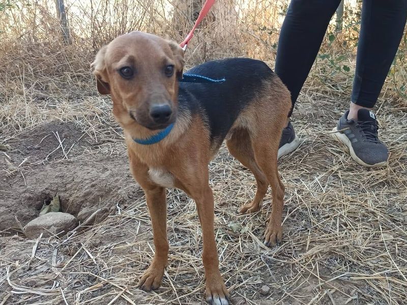 Maak kennis met lieve Charlie 