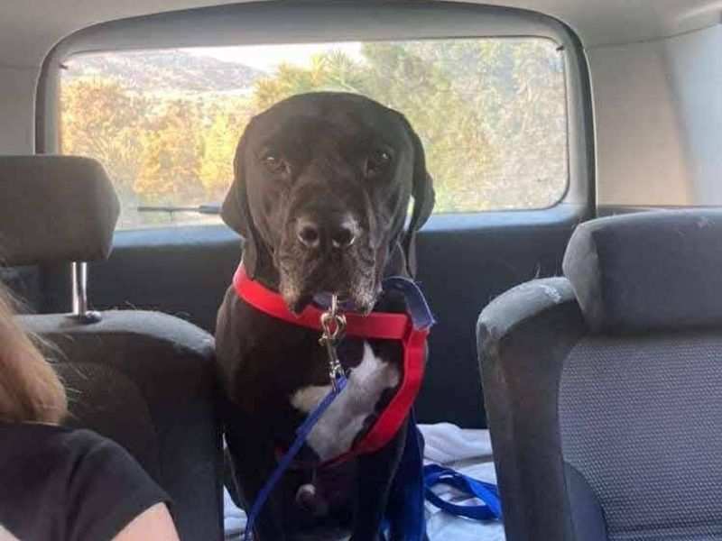 Angel wacht al 8 jaar… wordt jij zijn held? 