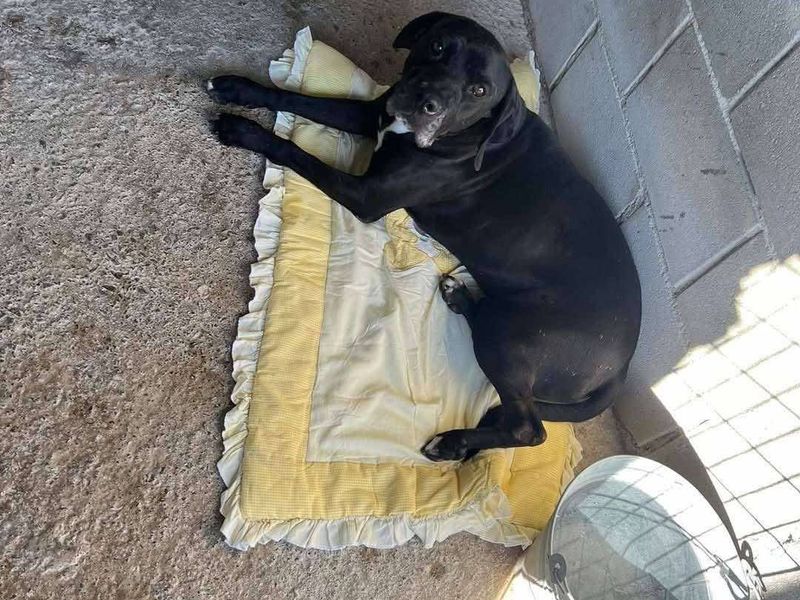 Angel wacht al 8 jaar… wordt jij zijn held? 