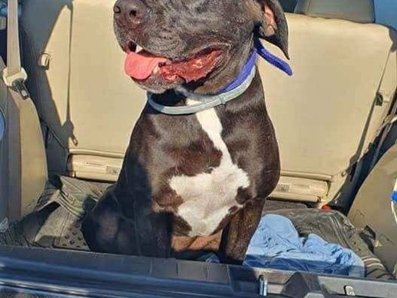 Angel wacht al 8 jaar… wordt jij zijn held? 